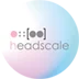 HeadScale 图标